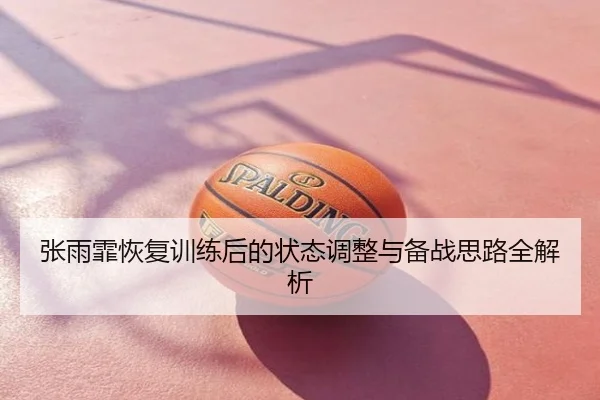 张雨霏恢复训练后的状态调整与备战思路全解析