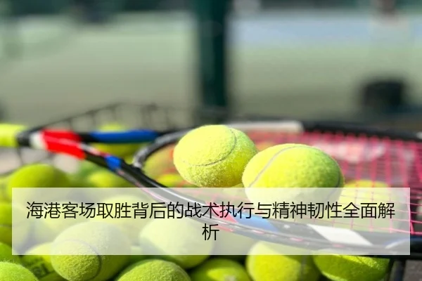 海港客场取胜背后的战术执行与精神韧性全面解析