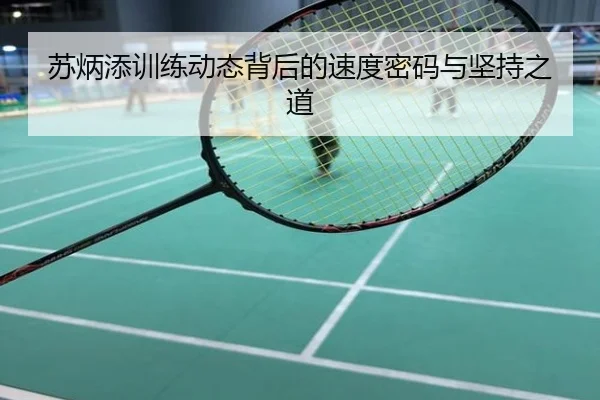 苏炳添训练动态背后的速度密码与坚持之道