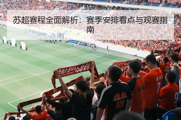 苏超赛程全面解析：赛季安排看点与观赛指南