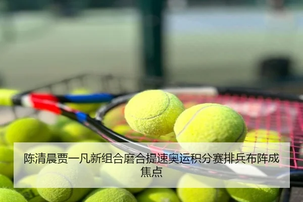 陈清晨贾一凡新组合磨合提速奥运积分赛排兵布阵成焦点