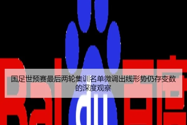 国足世预赛最后两轮集训名单微调出线形势仍存变数的深度观察